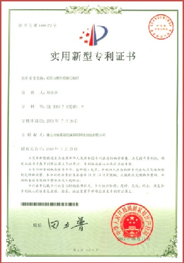 Letters Patent